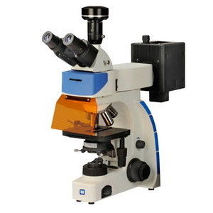 Fluoreszenz-Mikroskop IF-302 Digital Trinocular