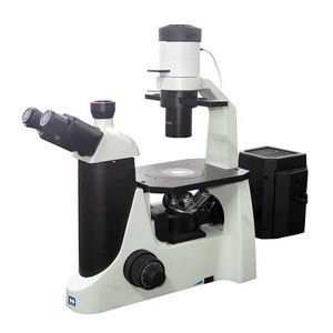 LED Trinocular wandelte Fluoreszenz-Mikroskop mit CCD-Farbkamera um