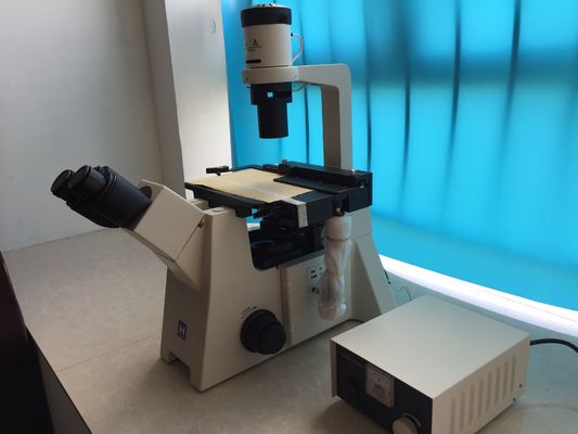 Trinocular wandelte biologisches Mikroskop für Forschungs-Zellkultur um