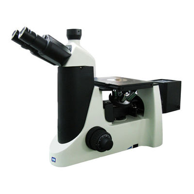Routinelabor 50X-2000X wandelte helles metallurgisches Mikroskop um