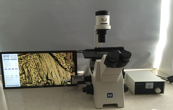 Trinocular wandelte biologisches Mikroskop für Forschungs-Zellkultur um